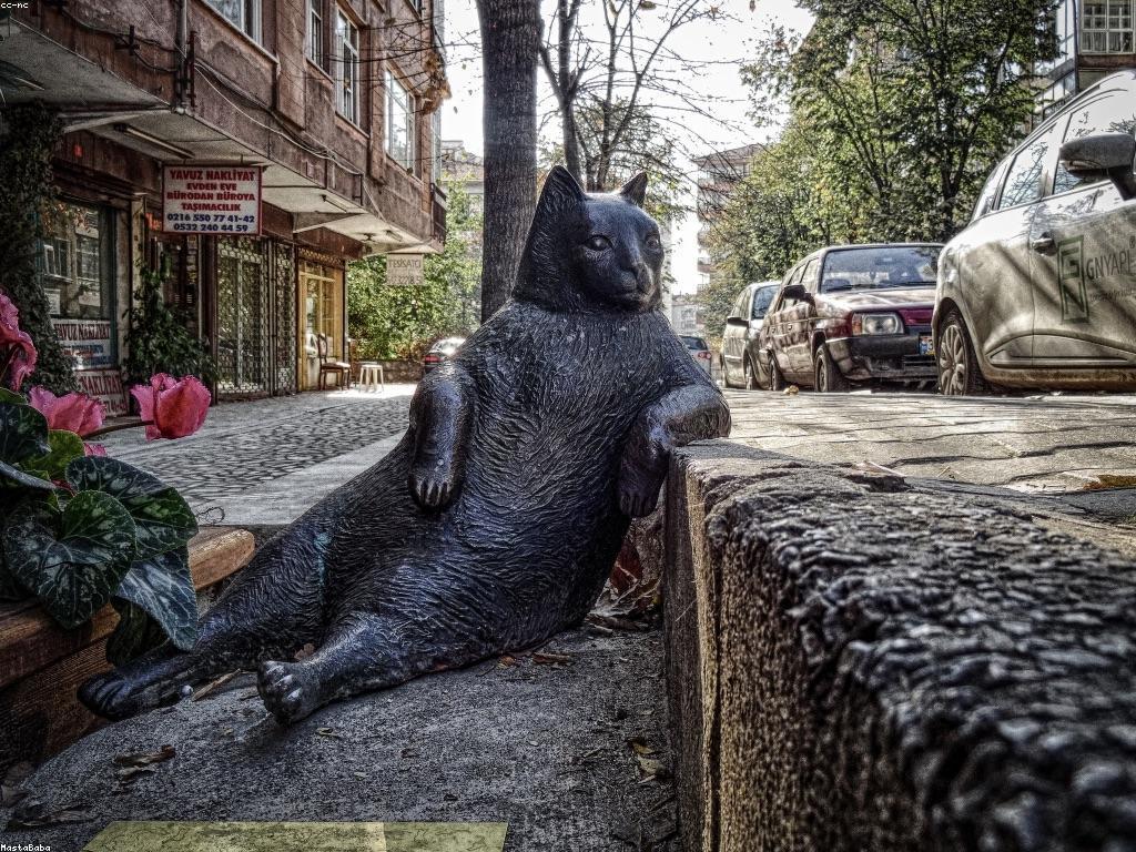 ភាពជោគជ័យនៃអ្នកថ្មី