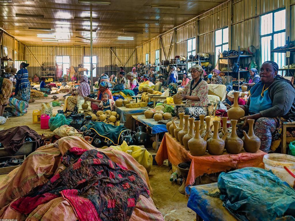 ភាពជោគជោគជ័យរបស់អ្នកថ្មីក្នុងដែនកម្សាន្ត