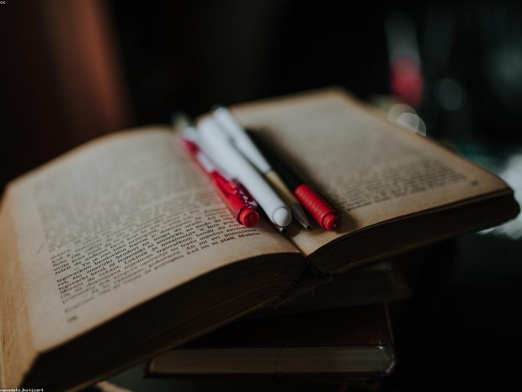 មគ្គុទេសក៍សម្រាប់អ្នកថ្មី: របៀបធ្វើជំហានដំបូង